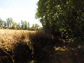 IMG_5237