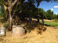 IMG_5238