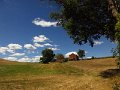 IMG_5239