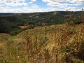 IMG_5252