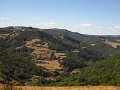 IMG_5269