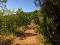 IMG_5275