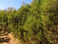 IMG_5276