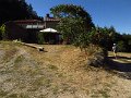 IMG_5290
