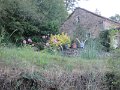 IMG_5292