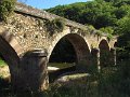IMG_9278