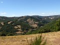 IMG_9298
