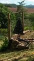 img1473160404994