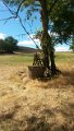 img1473162440824