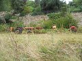 DSCN1861