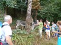 DSCN2938