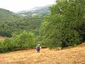 IMG_5529