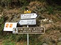 IMG_5534