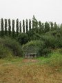 IMG_5544