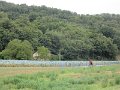 IMG_5545