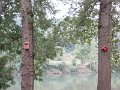IMG_5578