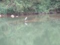IMG_5585