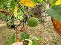 IMG_5625
