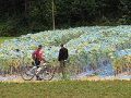 IMG_9333