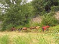 IMG_9336