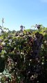 20160905_140446