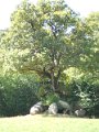 DSCN1631