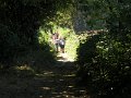 DSCN5225