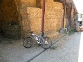 DSCN5241