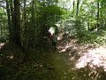 DSCN5248
