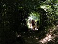 DSCN5251