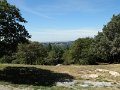 DSCN5262