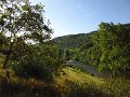 IMG_5022