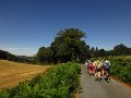 IMG_5038