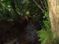 IMG_5049