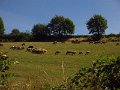 IMG_5103