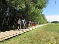 IMG_5113