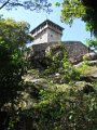 IMG_9255