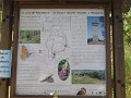 IMG_9256