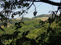 DSCN1918