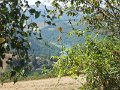 DSCN1922