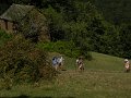 DSCN5387