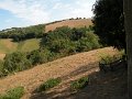 DSCN5392