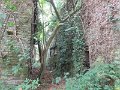 IMG_5665
