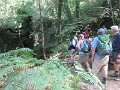 IMG_5674