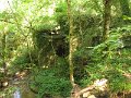 IMG_9374