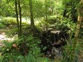 IMG_9377