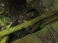 IMG_9378
