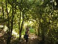 IMG_9379