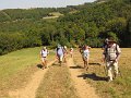 IMG_9381