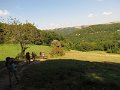 IMG_9382